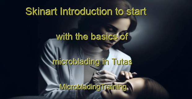 Skinart Introduction to start with the basics of microblading in Tutas | MicrobladingTraining | MicrobladingClasses | SkinartTraining-Turkey