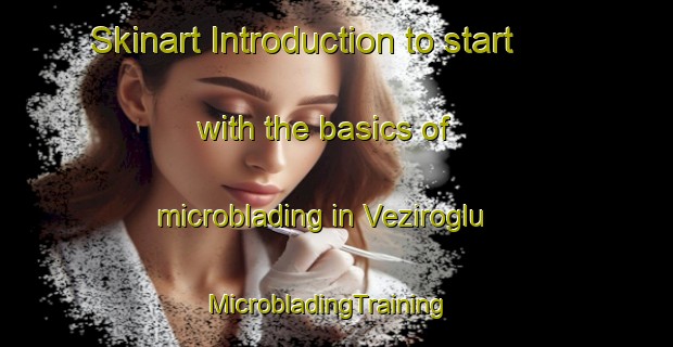 Skinart Introduction to start with the basics of microblading in Veziroglu | MicrobladingTraining | MicrobladingClasses | SkinartTraining-Turkey