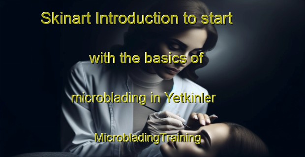Skinart Introduction to start with the basics of microblading in Yetkinler | MicrobladingTraining | MicrobladingClasses | SkinartTraining-Turkey