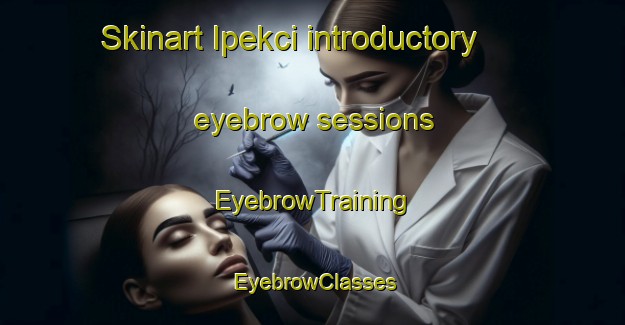 Skinart Ipekci introductory eyebrow sessions | EyebrowTraining | EyebrowClasses | SkinartTraining-Turkey