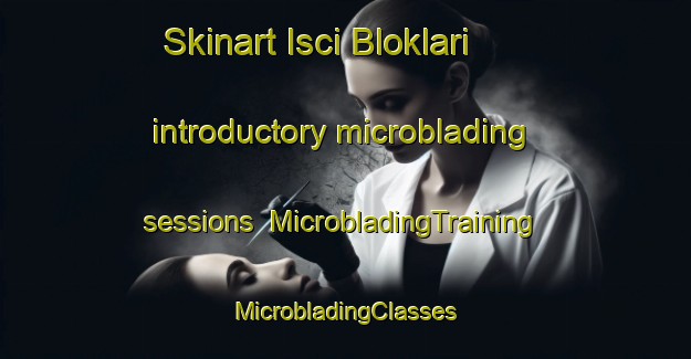 Skinart Isci Bloklari introductory microblading sessions | #MicrobladingTraining #MicrobladingClasses #SkinartTraining-Turkey