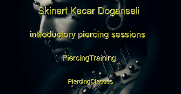 Skinart Kacar Dogansali introductory piercing sessions | #PiercingTraining #PiercingClasses #SkinartTraining-Turkey