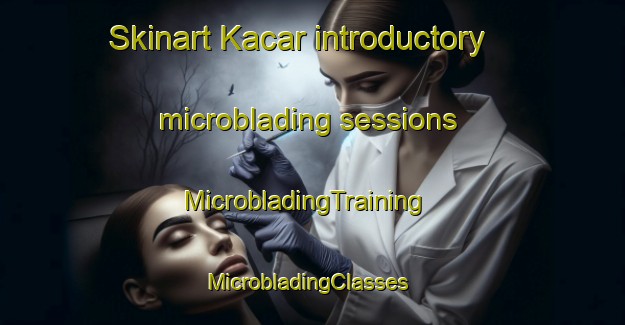 Skinart Kacar introductory microblading sessions | MicrobladingTraining | MicrobladingClasses | SkinartTraining-Turkey