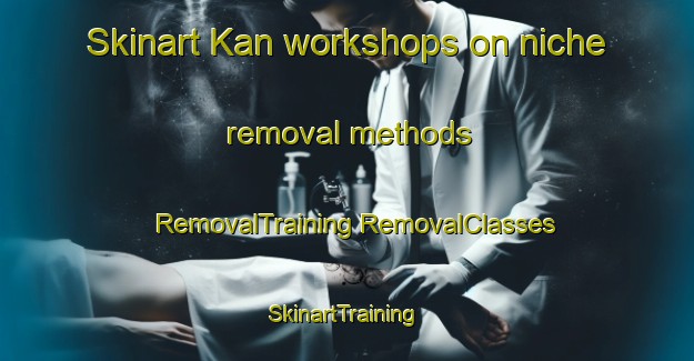 Skinart Kan workshops on niche removal methods | #RemovalTraining #RemovalClasses #SkinartTraining-Turkey