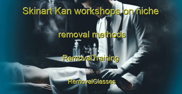 Skinart Kan workshops on niche removal methods | RemovalTraining | RemovalClasses | SkinartTraining-Turkey