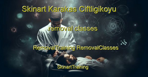 Skinart Karakas Ciftligikoyu removal classes | #RemovalTraining #RemovalClasses #SkinartTraining-Turkey