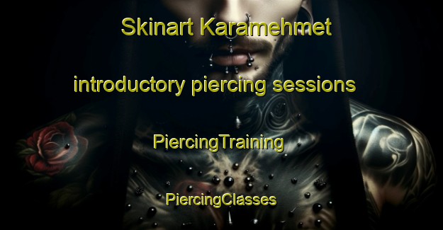 Skinart Karamehmet introductory piercing sessions | #PiercingTraining #PiercingClasses #SkinartTraining-Turkey