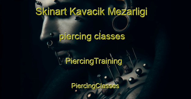 Skinart Kavacik Mezarligi piercing classes | #PiercingTraining #PiercingClasses #SkinartTraining-Turkey