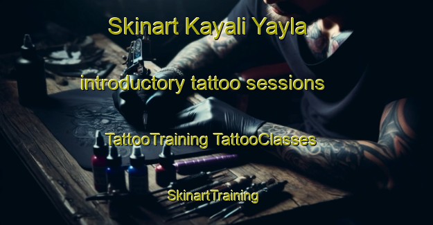 Skinart Kayali Yayla introductory tattoo sessions | #TattooTraining #TattooClasses #SkinartTraining-Turkey