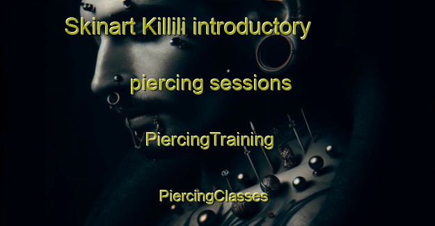 Skinart Killili introductory piercing sessions | PiercingTraining | PiercingClasses | SkinartTraining-Turkey