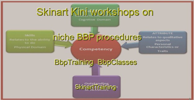 Skinart Kini workshops on niche BBP procedures | BbpTraining | BbpClasses | SkinartTraining-Turkey