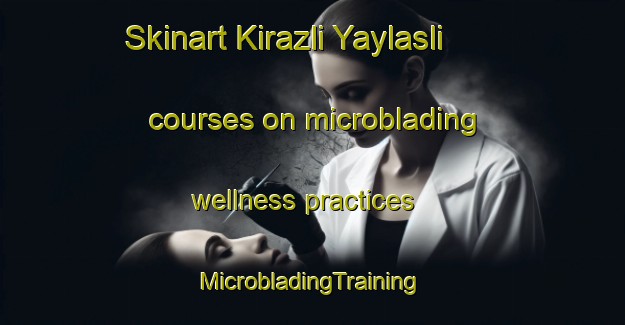 Skinart Kirazli Yaylasli courses on microblading wellness practices | #MicrobladingTraining #MicrobladingClasses #SkinartTraining-Turkey