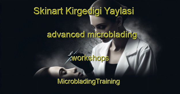 Skinart Kirgedigi Yaylasi advanced microblading workshops | #MicrobladingTraining #MicrobladingClasses #SkinartTraining-Turkey