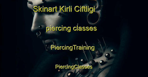 Skinart Kirli Ciftligi piercing classes | #PiercingTraining #PiercingClasses #SkinartTraining-Turkey