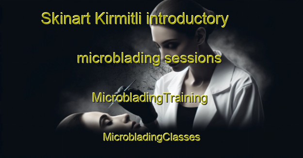 Skinart Kirmitli introductory microblading sessions | #MicrobladingTraining #MicrobladingClasses #SkinartTraining-Turkey