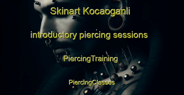 Skinart Kocaoganli introductory piercing sessions | #PiercingTraining #PiercingClasses #SkinartTraining-Turkey