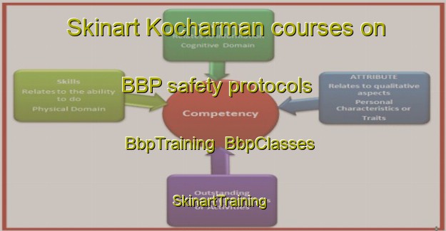 Skinart Kocharman courses on BBP safety protocols | BbpTraining | BbpClasses | SkinartTraining-Turkey