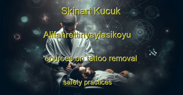 Skinart Kucuk Alifahrettinyaylasikoyu courses on tattoo removal safety practices | #RemovalTraining #RemovalClasses #SkinartTraining-Turkey