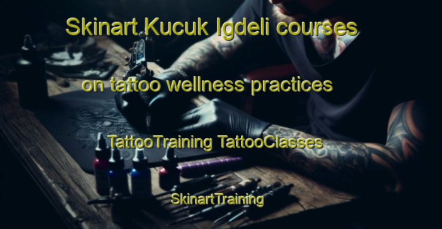 Skinart Kucuk Igdeli courses on tattoo wellness practices | #TattooTraining #TattooClasses #SkinartTraining-Turkey