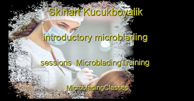 Skinart Kucukboyalik introductory microblading sessions | #MicrobladingTraining #MicrobladingClasses #SkinartTraining-Turkey