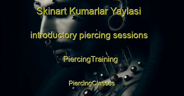 Skinart Kumarlar Yaylasi introductory piercing sessions | #PiercingTraining #PiercingClasses #SkinartTraining-Turkey