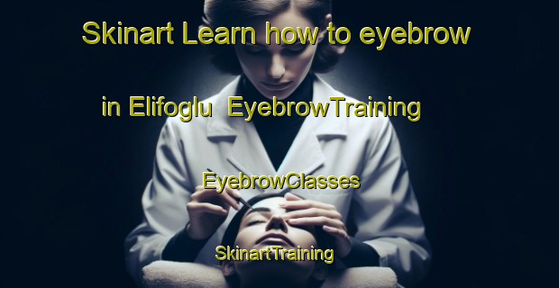 Skinart Learn how to eyebrow in Elifoglu | EyebrowTraining | EyebrowClasses | SkinartTraining-Turkey