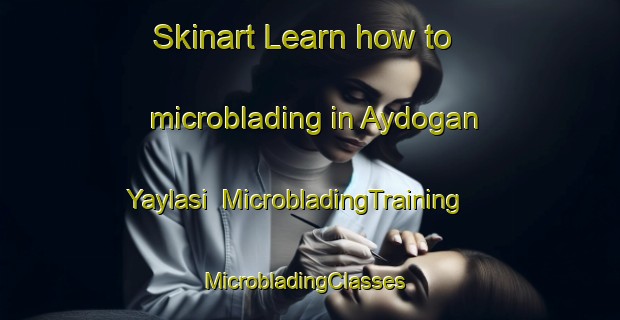 Skinart Learn how to microblading in Aydogan Yaylasi | MicrobladingTraining | MicrobladingClasses | SkinartTraining-Turkey