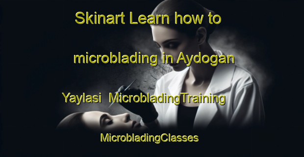 Skinart Learn how to microblading in Aydogan Yaylasi | MicrobladingTraining | MicrobladingClasses | SkinartTraining-Turkey