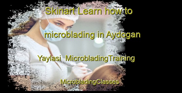Skinart Learn how to microblading in Aydogan Yaylasi | MicrobladingTraining | MicrobladingClasses | SkinartTraining-Turkey