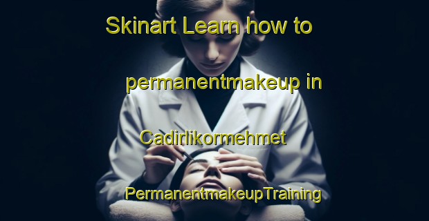 Skinart Learn how to permanentmakeup in Cadirlikormehmet | #PermanentmakeupTraining #PermanentmakeupClasses #SkinartTraining-Turkey