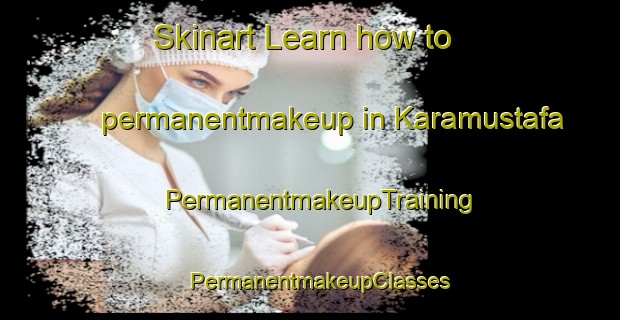 Skinart Learn how to permanentmakeup in Karamustafa | PermanentmakeupTraining | PermanentmakeupClasses | SkinartTraining-Turkey