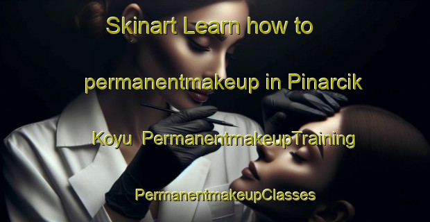 Skinart Learn how to permanentmakeup in Pinarcik Koyu | #PermanentmakeupTraining #PermanentmakeupClasses #SkinartTraining-Turkey