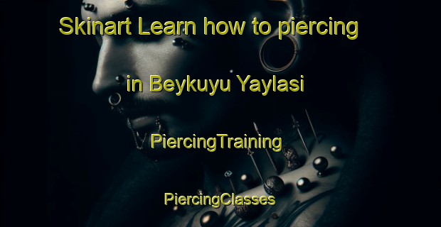 Skinart Learn how to piercing in Beykuyu Yaylasi | #PiercingTraining #PiercingClasses #SkinartTraining-Turkey