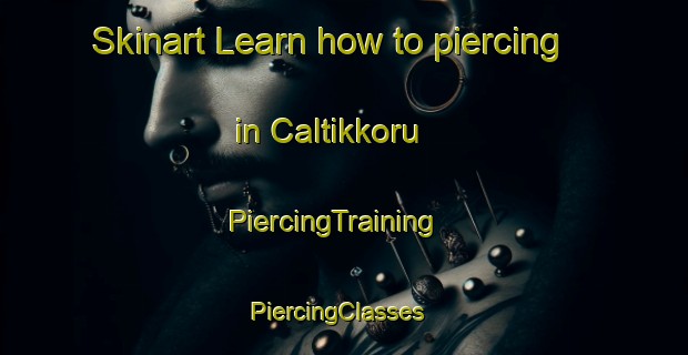 Skinart Learn how to piercing in Caltikkoru | PiercingTraining | PiercingClasses | SkinartTraining-Turkey