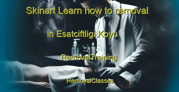 Skinart Learn how to removal in Esatciftligi Koyu | RemovalTraining | RemovalClasses | SkinartTraining-Turkey