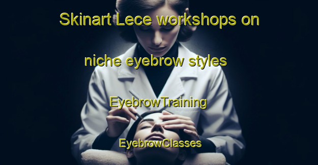 Skinart Lece workshops on niche eyebrow styles | EyebrowTraining | EyebrowClasses | SkinartTraining-Turkey