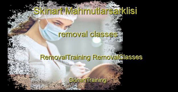 Skinart Mahmutlarsarklisi removal classes | #RemovalTraining #RemovalClasses #SkinartTraining-Turkey