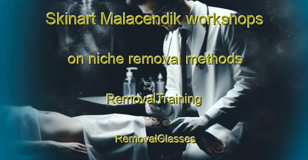 Skinart Malacendik workshops on niche removal methods | RemovalTraining | RemovalClasses | SkinartTraining-Turkey
