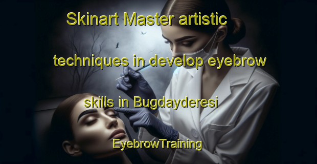 Skinart Master artistic techniques in develop eyebrow skills in Bugdayderesi | EyebrowTraining | EyebrowClasses | SkinartTraining-Turkey
