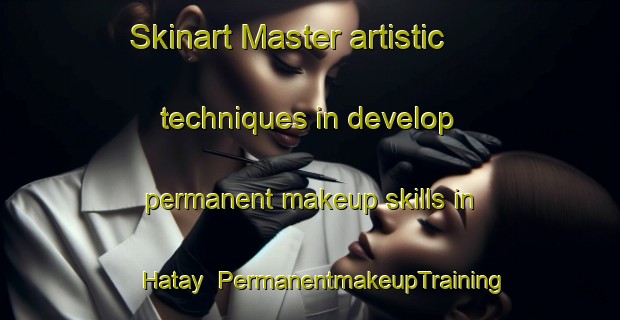 Skinart Master artistic techniques in develop permanent makeup skills in Hatay | PermanentmakeupTraining | PermanentmakeupClasses | SkinartTraining-Turkey