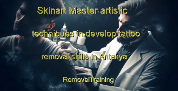 Skinart Master artistic techniques in develop tattoo removal skills in Antakya | RemovalTraining | RemovalClasses | SkinartTraining-Turkey