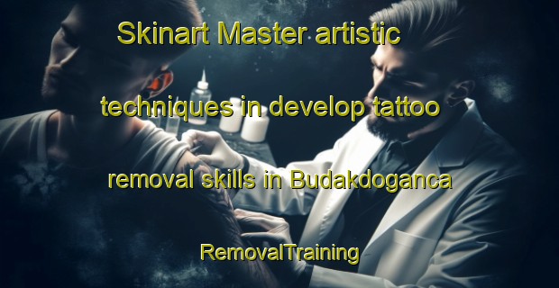 Skinart Master artistic techniques in develop tattoo removal skills in Budakdoganca | RemovalTraining | RemovalClasses | SkinartTraining-Turkey