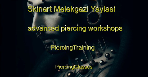 Skinart Melekgazi Yaylasi advanced piercing workshops | #PiercingTraining #PiercingClasses #SkinartTraining-Turkey