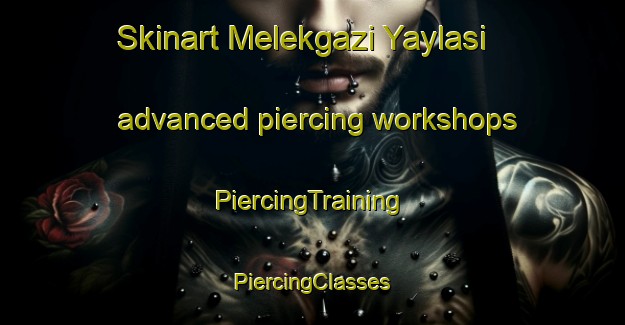 Skinart Melekgazi Yaylasi advanced piercing workshops | #PiercingTraining #PiercingClasses #SkinartTraining-Turkey