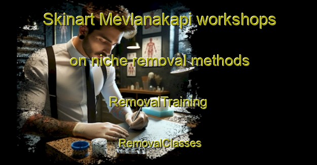 Skinart Mevlanakapi workshops on niche removal methods | RemovalTraining | RemovalClasses | SkinartTraining-Turkey