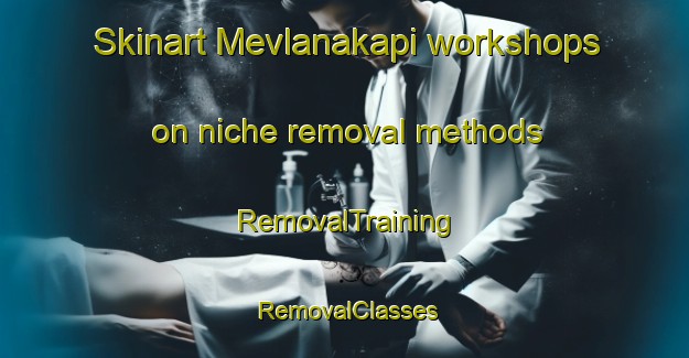 Skinart Mevlanakapi workshops on niche removal methods | RemovalTraining | RemovalClasses | SkinartTraining-Turkey