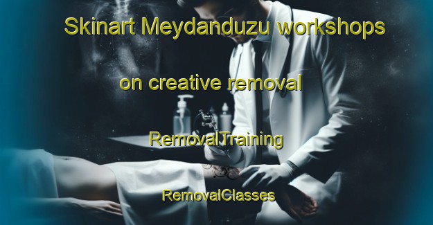 Skinart Meydanduzu workshops on creative removal | RemovalTraining | RemovalClasses | SkinartTraining-Turkey