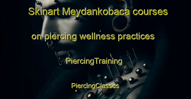 Skinart Meydankobaca courses on piercing wellness practices | #PiercingTraining #PiercingClasses #SkinartTraining-Turkey