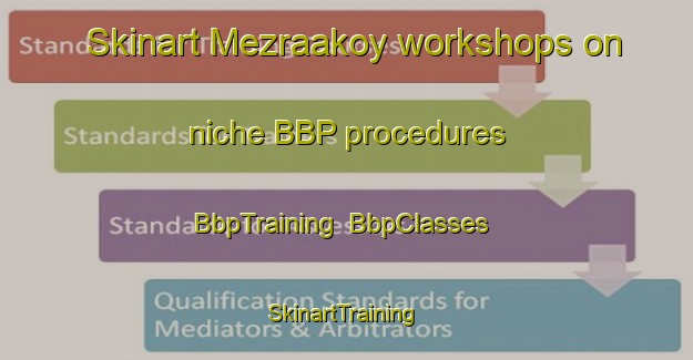 Skinart Mezraakoy workshops on niche BBP procedures | BbpTraining | BbpClasses | SkinartTraining-Turkey