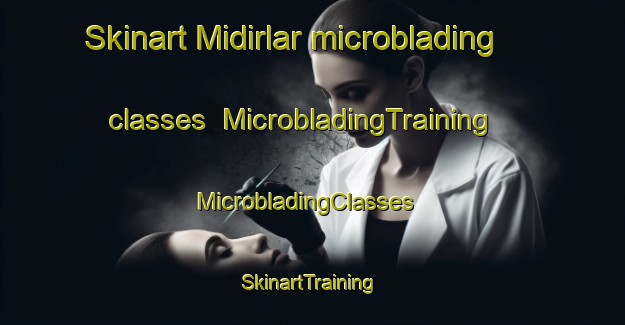 Skinart Midirlar microblading classes | MicrobladingTraining | MicrobladingClasses | SkinartTraining-Turkey